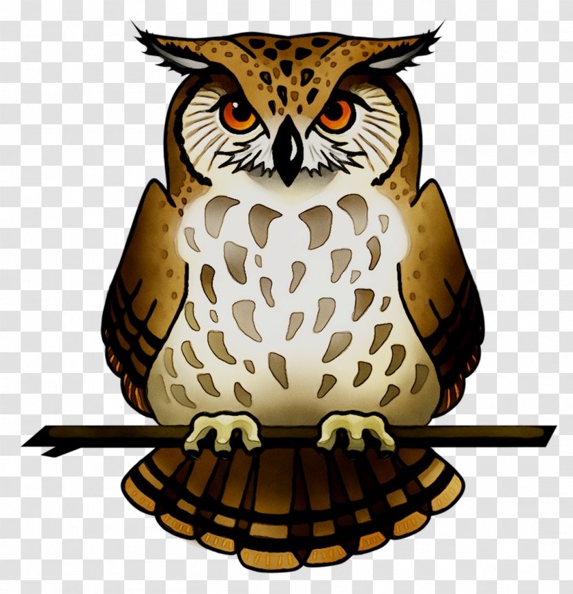 Tawny Owl Snowy Eurasian Eagle-owl Bird - Horned Owls And Eagleowls - Eagleowl Transparent PNG