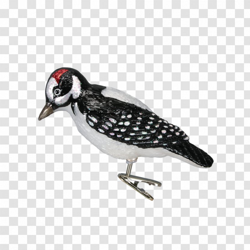 Hairy Woodpecker Bird Christmas Ornament Transparent PNG