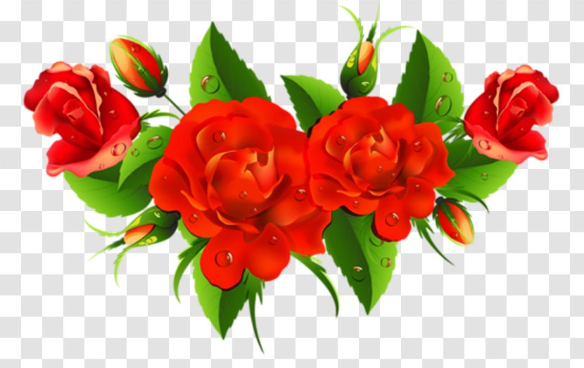 Royalty-free Vector Graphics Stock Photography Image Illustration - Flower Arranging - Redrose Ribbon Transparent PNG