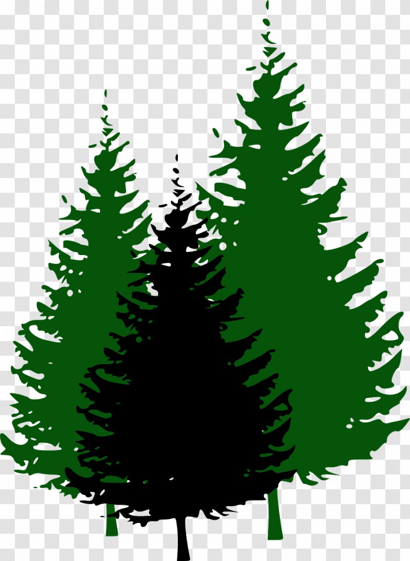 Pine Tree Fir Clip Art - Christmas - Cone Transparent PNG