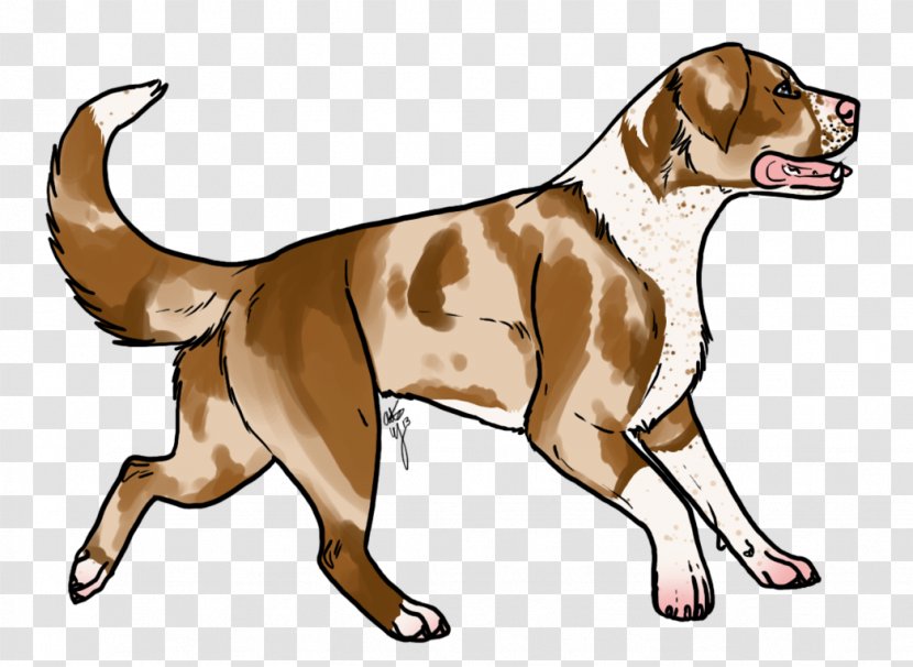 Beagle English Foxhound Harrier Puppy Dog Breed - Like Mammal - Border Collie Mix Transparent PNG