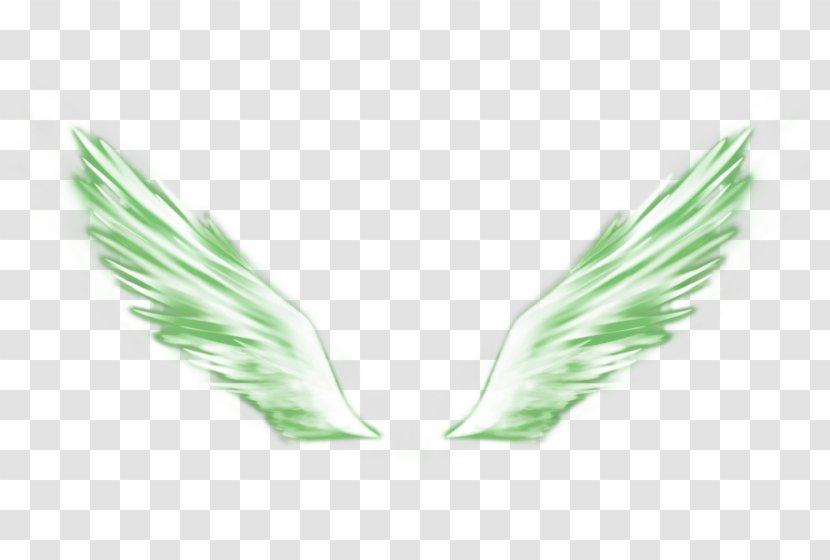 Green - Data Compression - Wings Transparent PNG