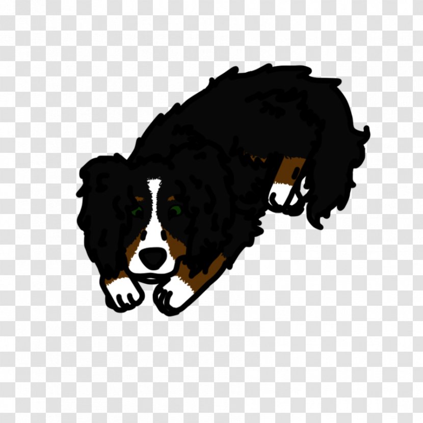 Dog Breed Bernese Mountain Puppy Snout - American Eskimo Transparent PNG