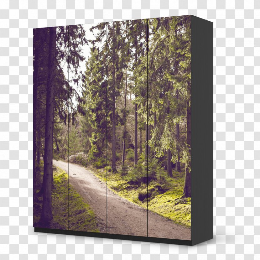 Two Roads Diverged In A Wood, And I -- Took The One Less Traveled By, That Has Made All Difference. Organization Goal Person Project - Landscape - Forest Walk Transparent PNG