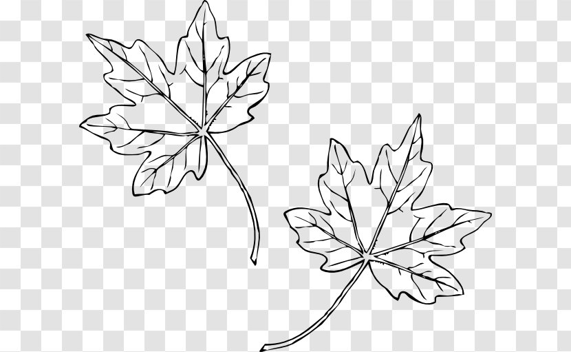Floral Design Leaf Clip Art - Visual Arts Transparent PNG