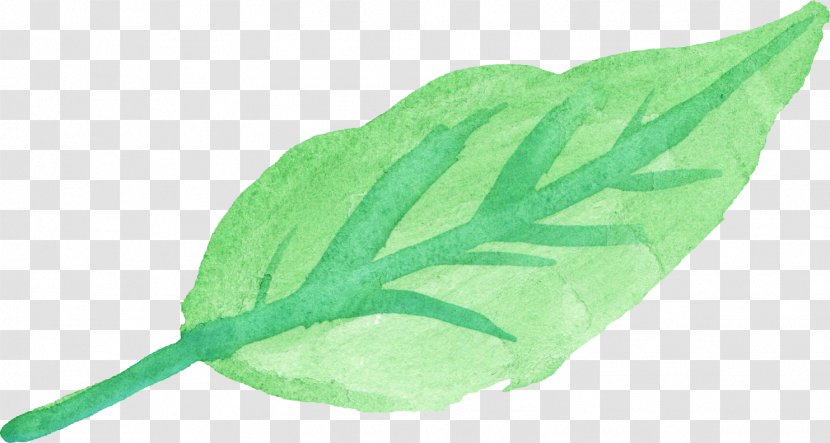 Transparent Watercolor Leaf Painting Transparent PNG