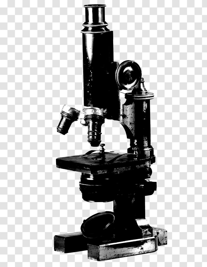 Microscope Stock Photography Stock.xchng Image Royalty-free - Scientific Instrument Transparent PNG