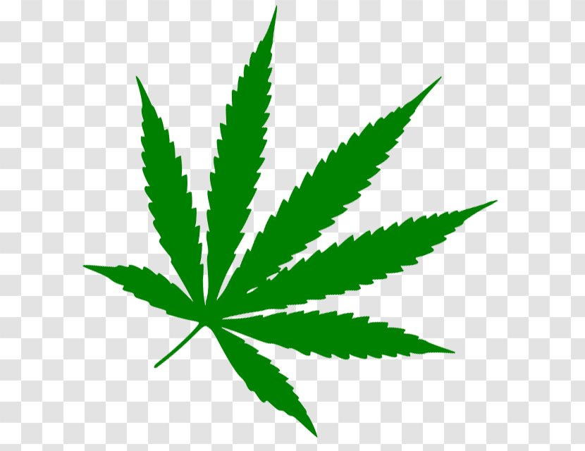 Medical Cannabis Leaf 420 Day Stoner Film Transparent PNG