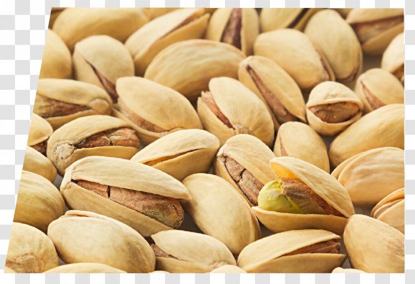 Mandi Pistachio Seed Nutrition Macadamia - Nut Transparent PNG