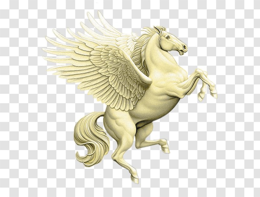 Pegasus Horse Unicorn Equestria - Mythical Creature Transparent PNG
