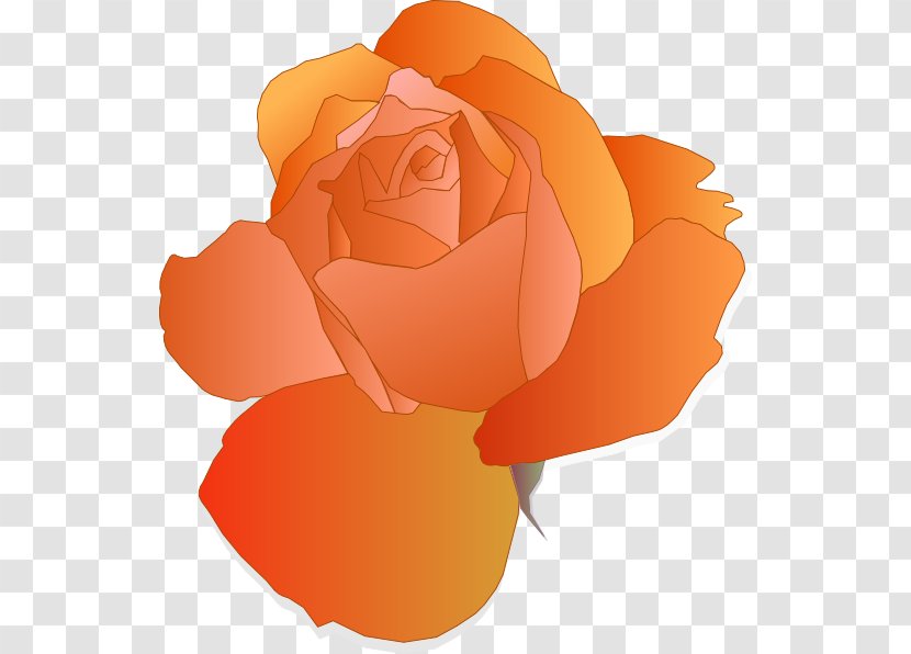 Blue Rose Flower Orange Clip Art - Petal - Romantic Vector Transparent PNG