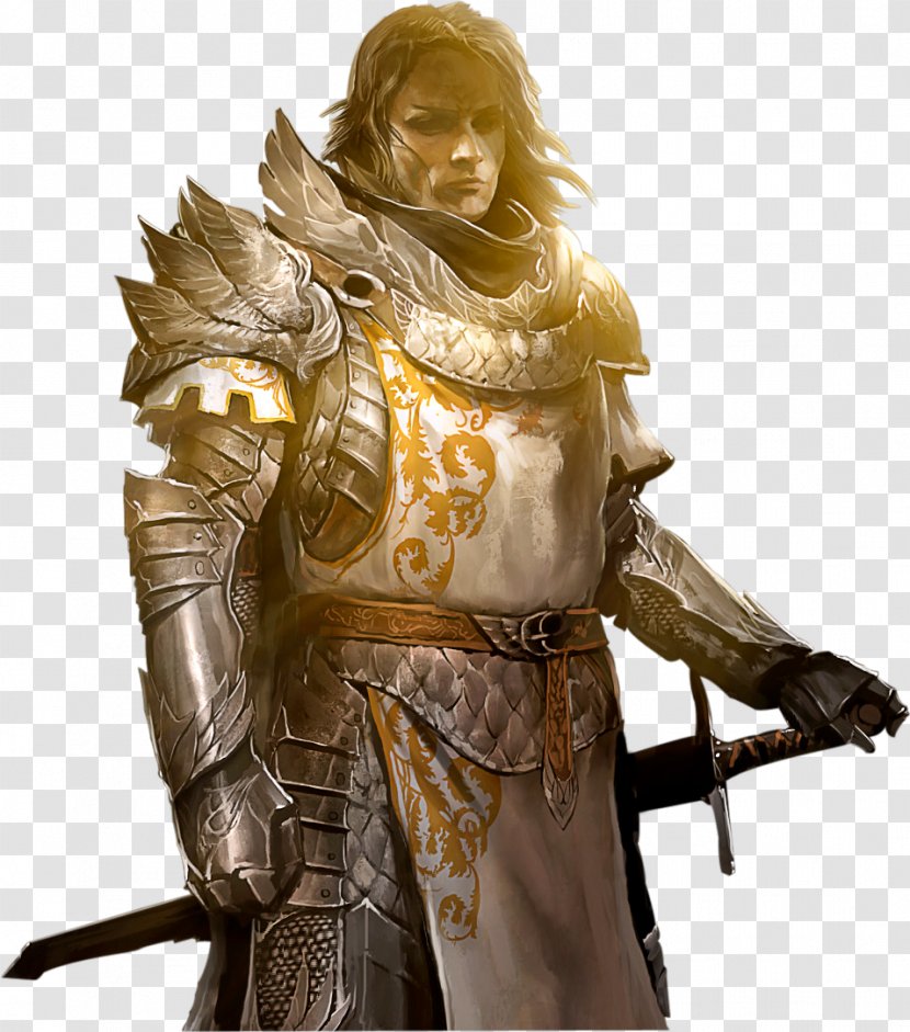 Guild Wars 2 World Of Warcraft Video Game ArenaNet - Arenanet - Image Warrior Transparent Transparent PNG