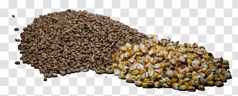 Commodity Seed Transparent PNG