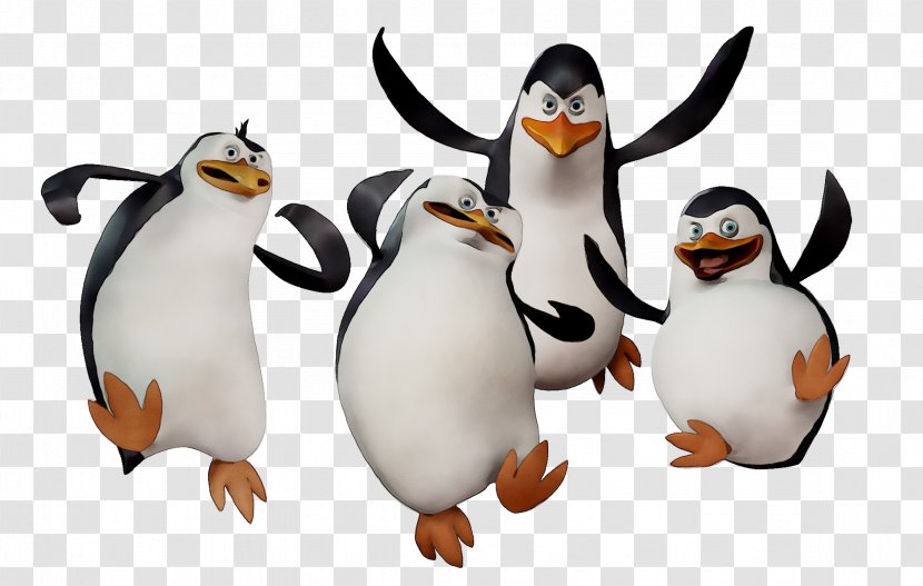 King Penguin Image Madagascar Desktop Wallpaper - Animation - Animal Transparent PNG