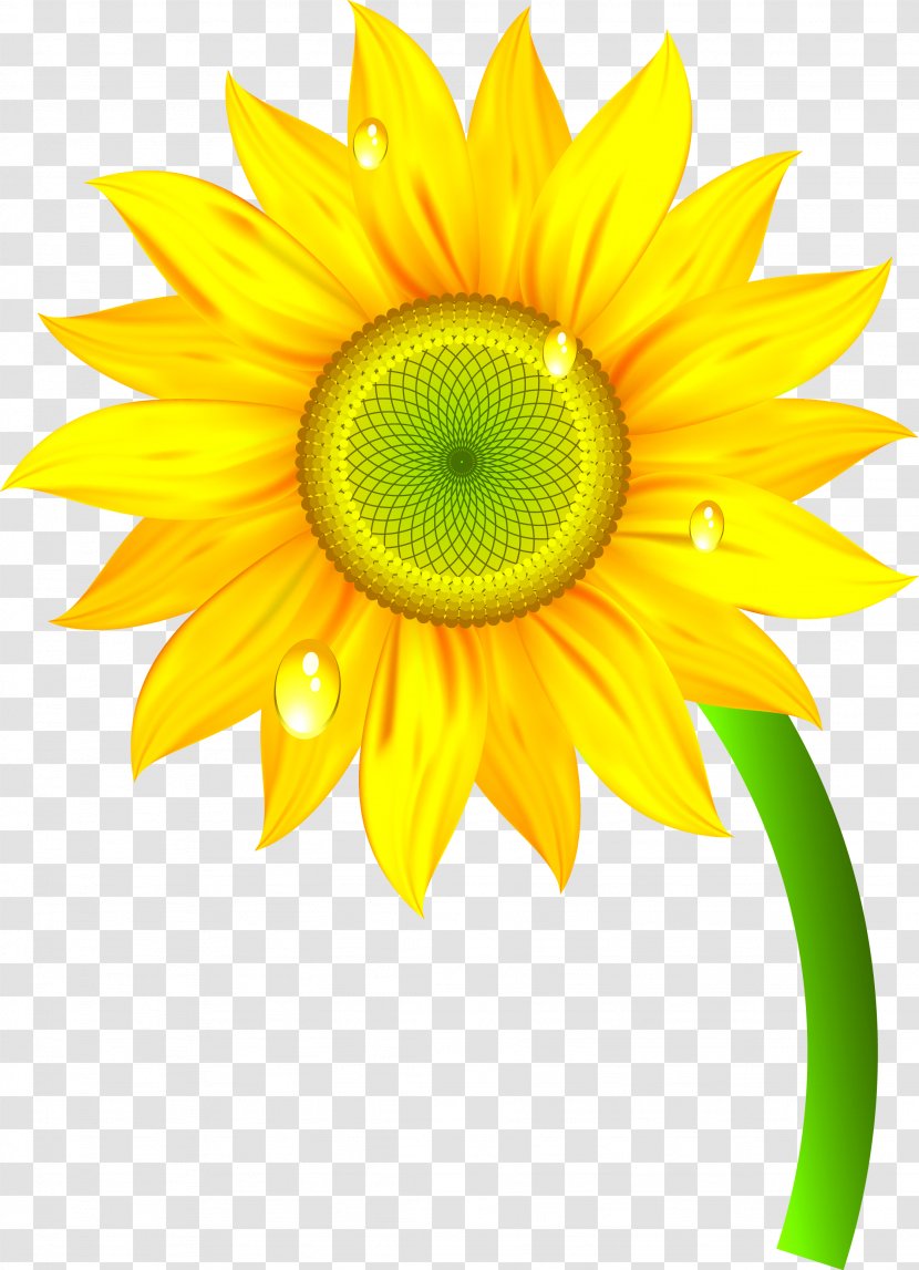 Nature Clip Art - Sunflower Transparent PNG