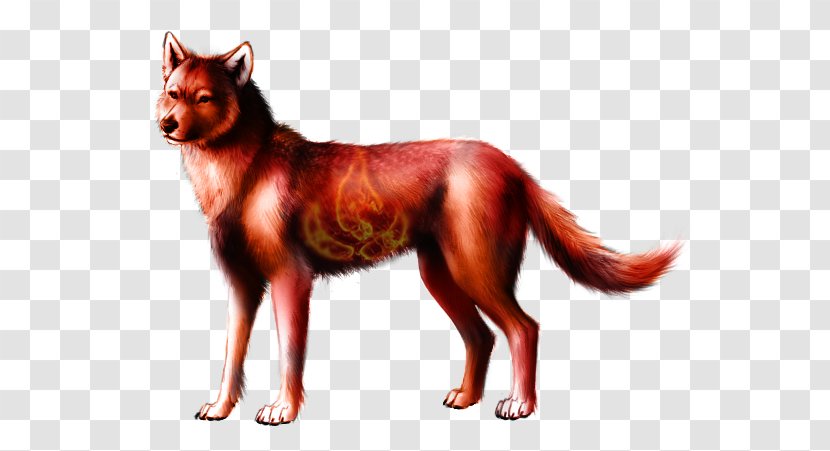 Red Fox Dog Breed Wolf Haven International Fire - Tail Transparent PNG