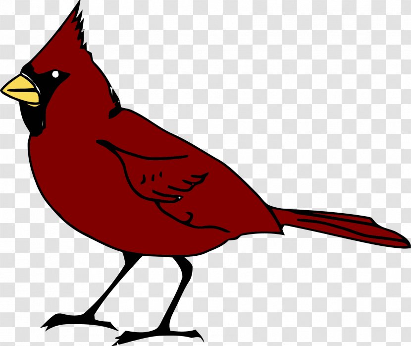 Bird Clip Art - Northern Cardinal Transparent PNG