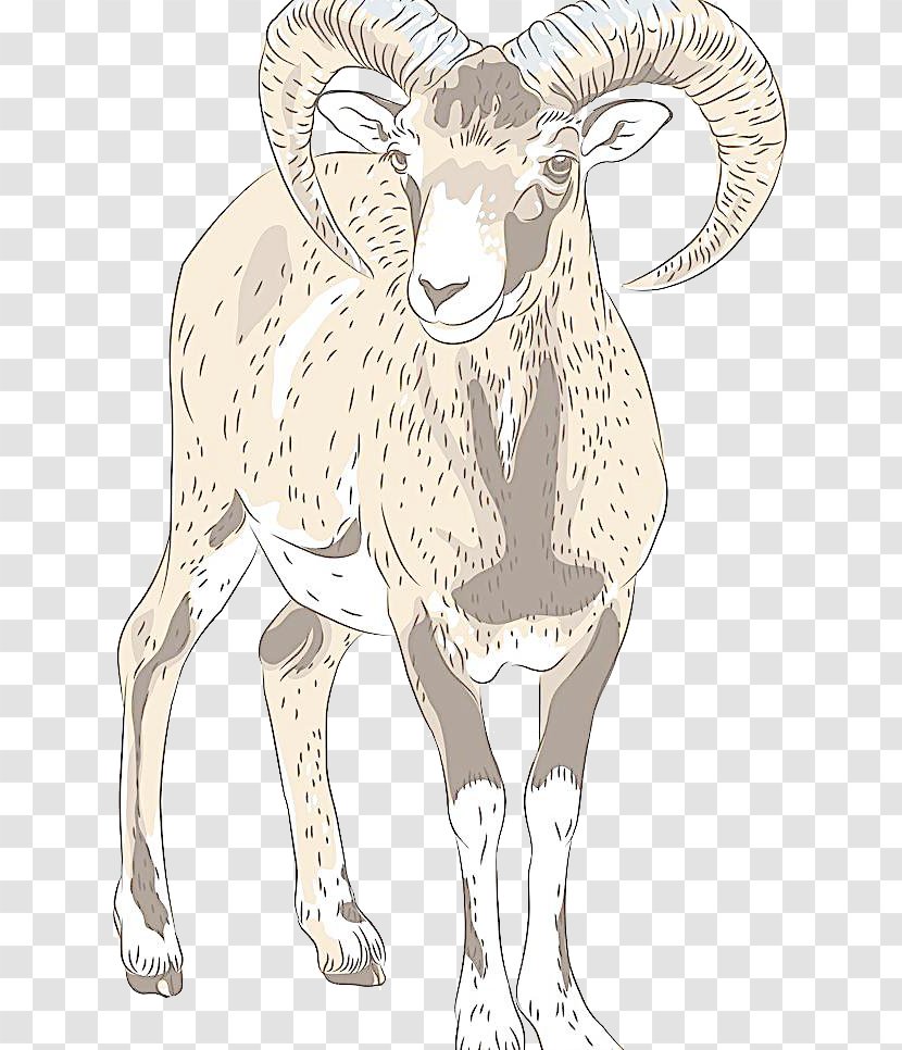 Alpine Ibex Drawing Clip Art - Wildlife - Hand-painted Goat Transparent PNG