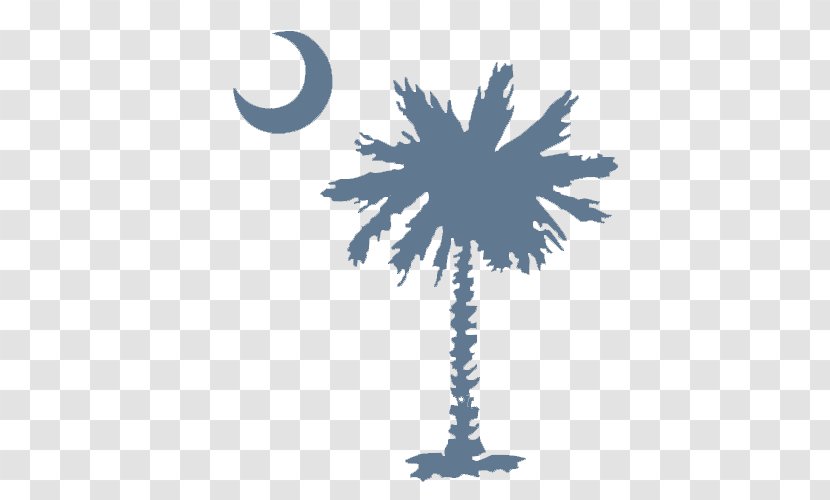 Easley High School Irmo Myrtle Beach Flag Of South Carolina - Sabal Palm Transparent PNG