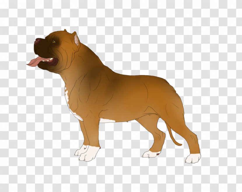 Dog Breed Snout - Vertebrate Transparent PNG