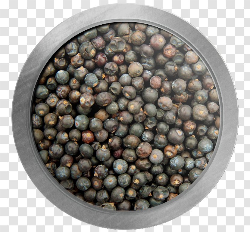 Juniper Berry - Berries Transparent PNG