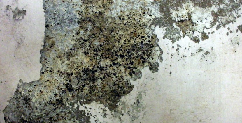 Texture Painting Wall Wallpaper - Grunge - Dirt Transparent PNG