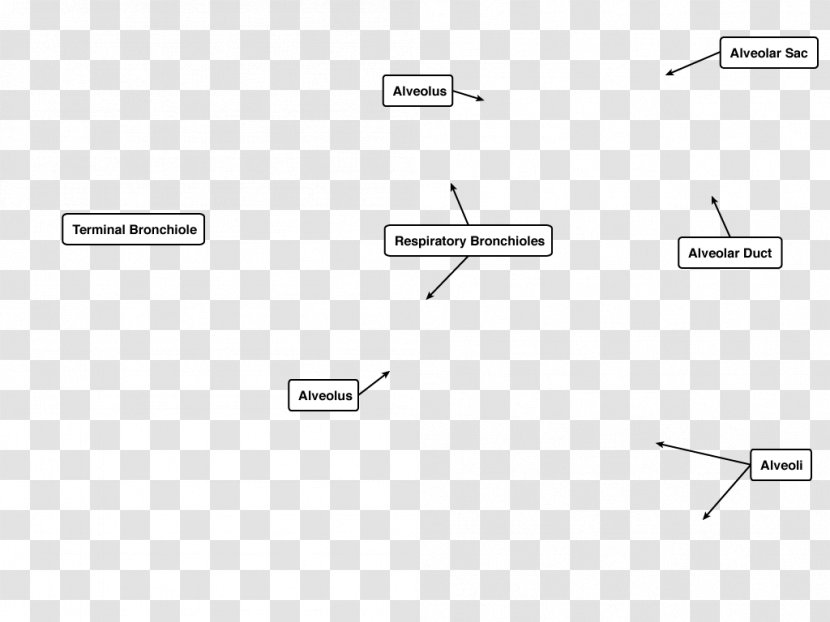 Document Line Brand - Design Transparent PNG