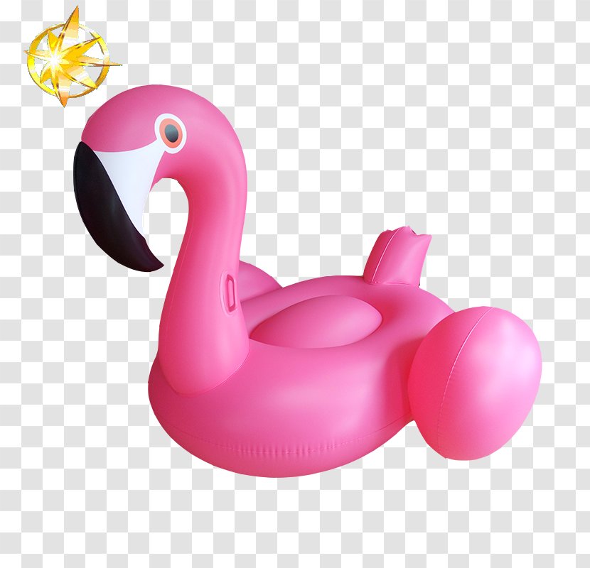 Inflatable Swimming Pool Online Shopping Swim Ring - Plastic - Water Bird Transparent PNG