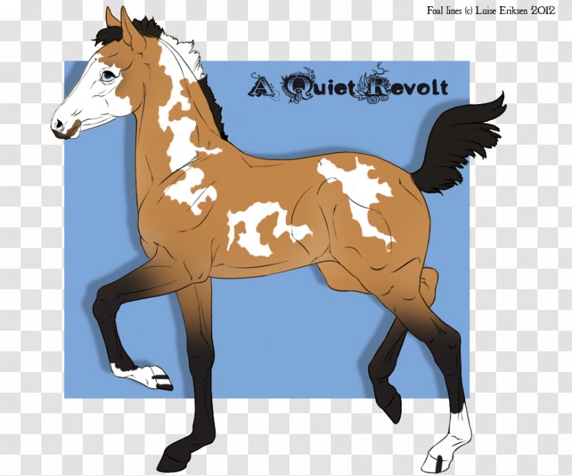 Mustang Foal Stallion Colt Mare - Mane Transparent PNG