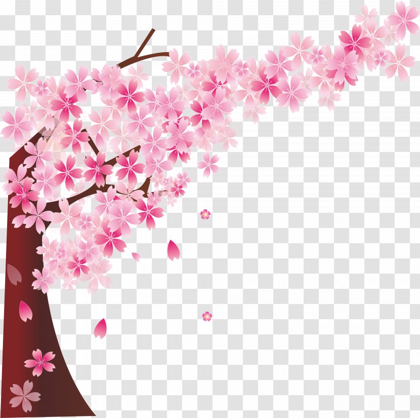 Cherry Blossom Cerasus - Branch - Pink Tree Transparent PNG