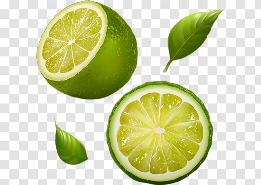 Juice Lemon-lime Drink Tangerine Grapefruit - Fruit - Limon Transparent PNG