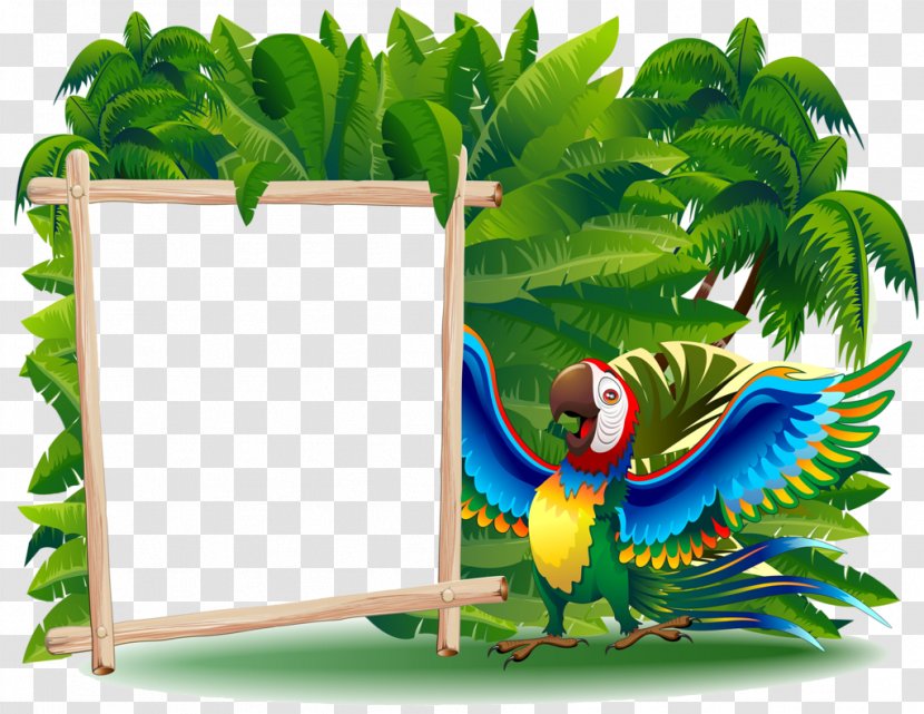 Vector Graphics Clip Art Desktop Wallpaper Parrot Cartoon - Beak Transparent PNG