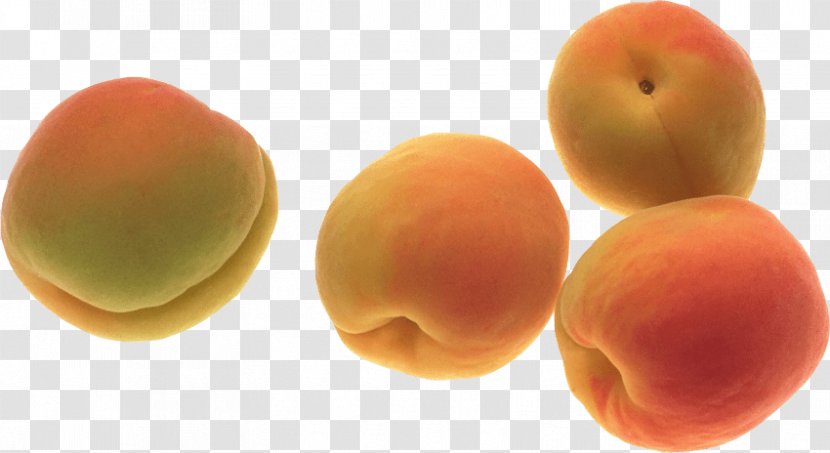 Apricot Fruit Food Transparent PNG