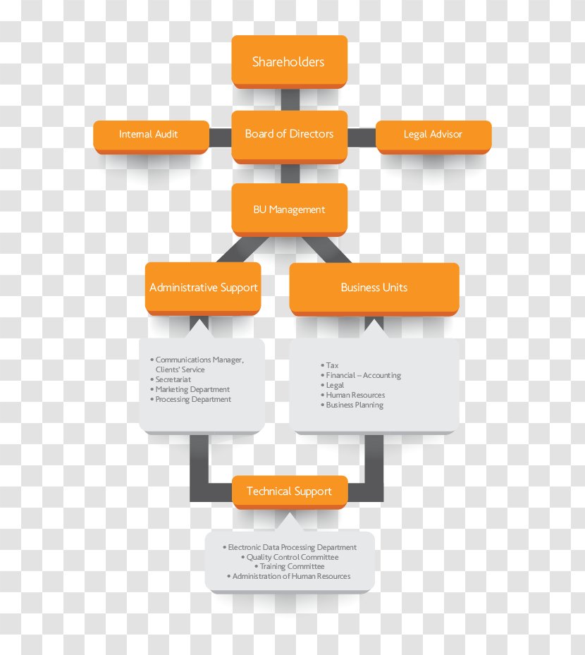 Organizational Chart Structure Business Management - Information Transparent PNG