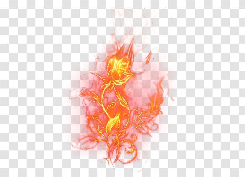 Flame Fire Rose Clip Art - Organism Transparent PNG