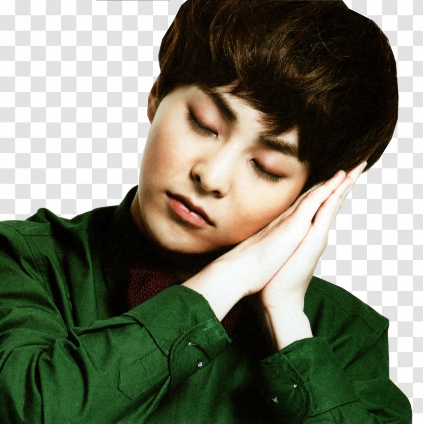 Exodus Miracles In December Wolf - Brown Hair Transparent PNG
