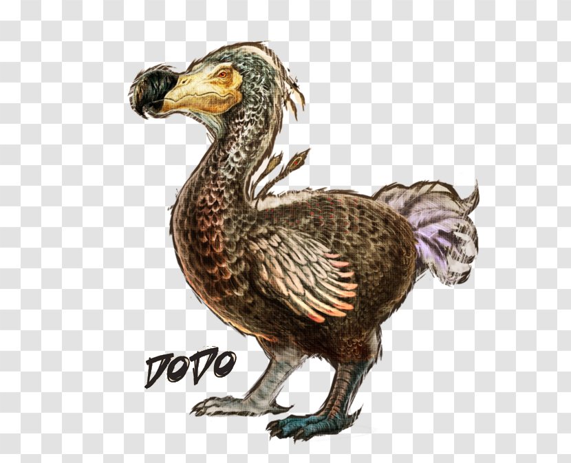 ARK: Survival Evolved Dodo Allosaurus Mosasaurus Dinosaur - Fauna - Ark Vector Transparent PNG