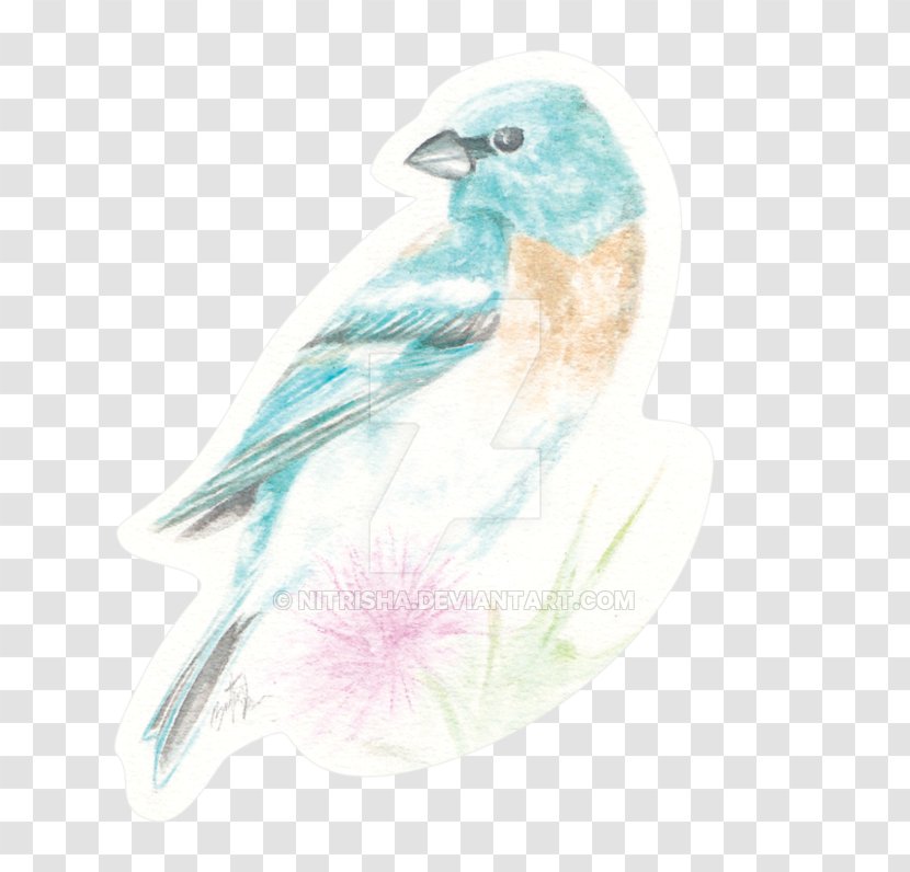 Watercolor Background - Paint - Finch Songbird Transparent PNG