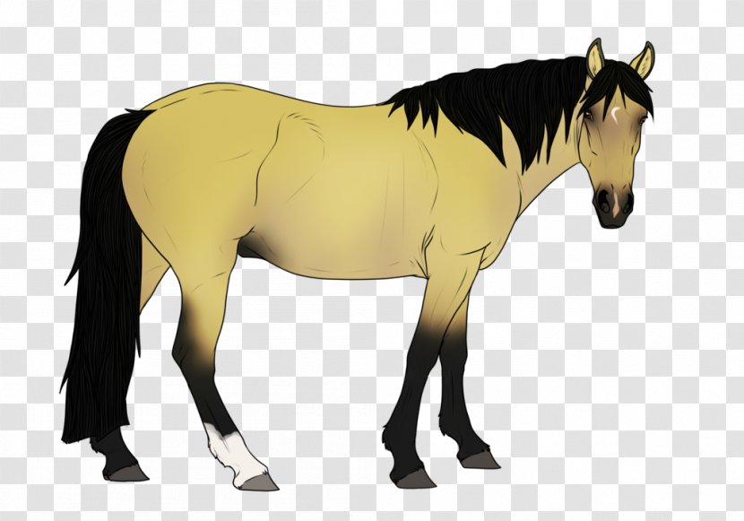 Mustang Stallion Mare Colt Foal - Saddle - ELVIS Transparent PNG