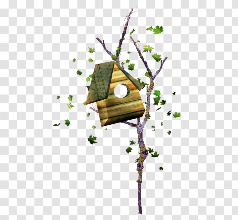 Nest Box Animation Clip Art - Collage - On The Branches Transparent PNG