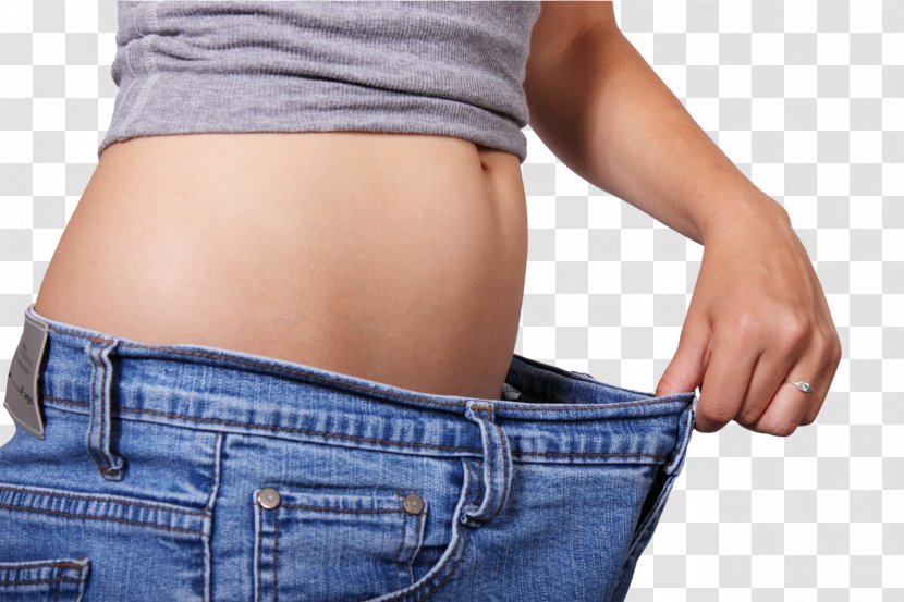 Dieting Weight Loss Human Body Adipose Tissue - Flower Transparent PNG