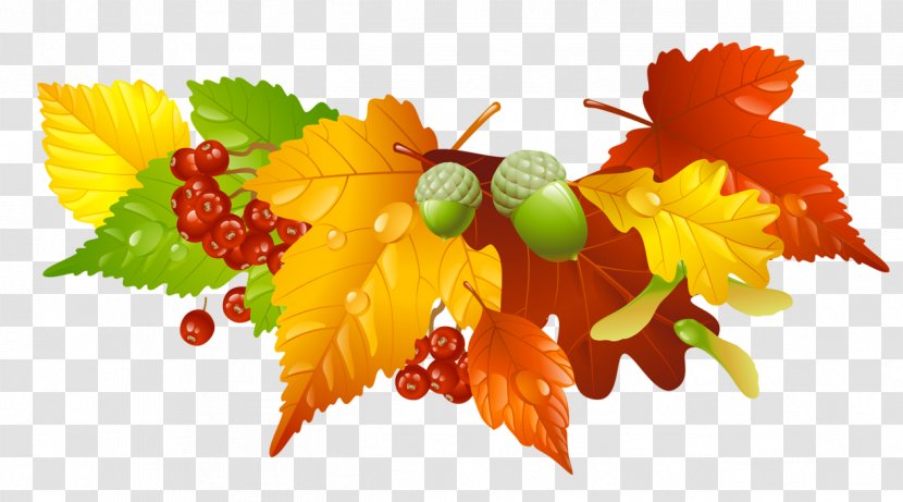 Autumn Leaf Color Clip Art - Royalty Free - Leaves And Acorns Decor Picture Transparent PNG