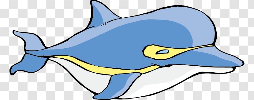 Common Bottlenose Dolphin Cartoon - Drawing - Vector Transparent PNG
