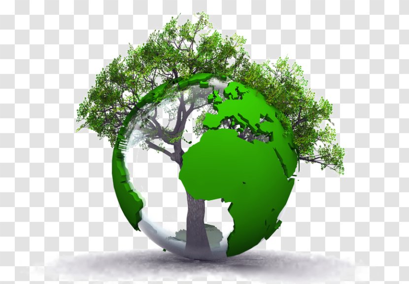 Natural Environment Environmental Protection Resource Management Quality Sustainable Development Transparent PNG