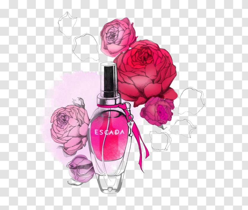 Perfume Illustrator Fashion Illustration - Bottle Transparent PNG