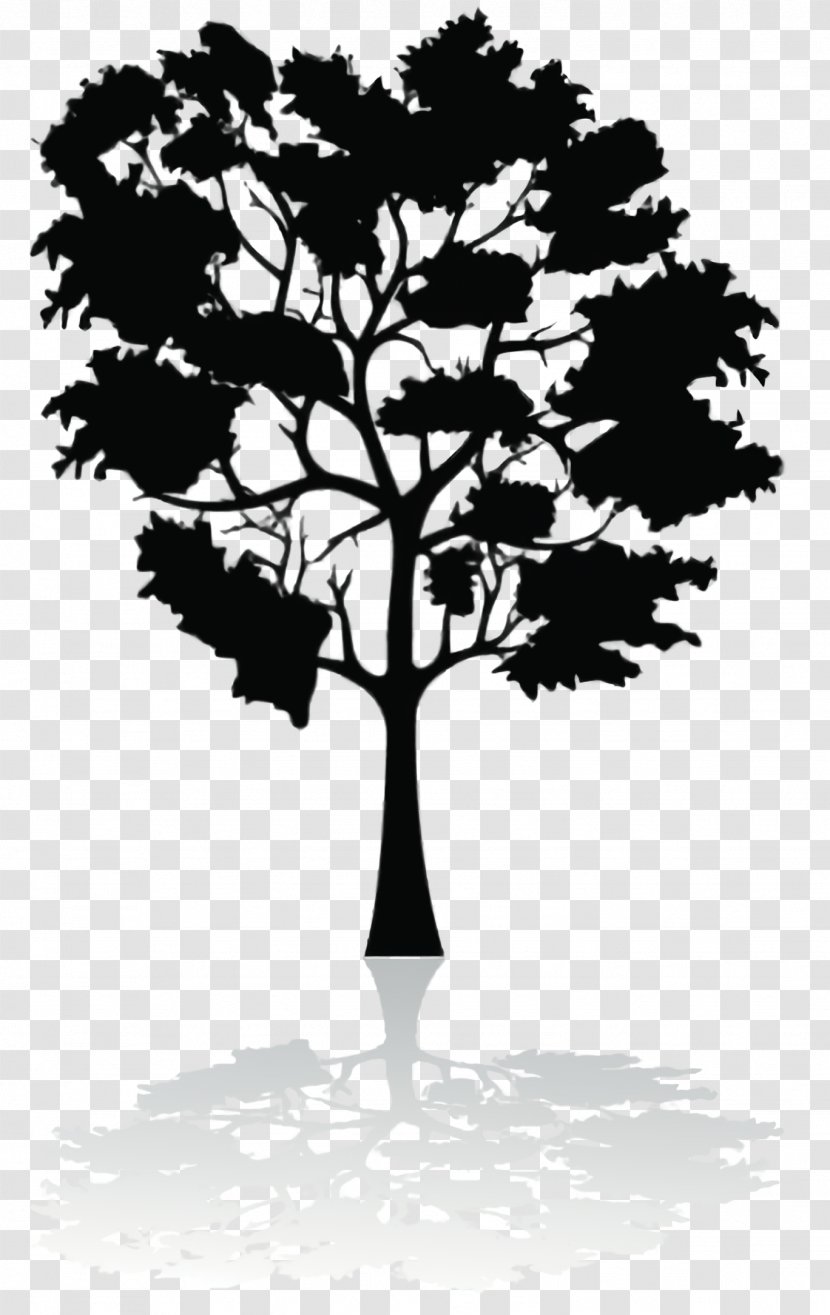 Black And White Flower - Plane - Trunk Deciduous Transparent PNG