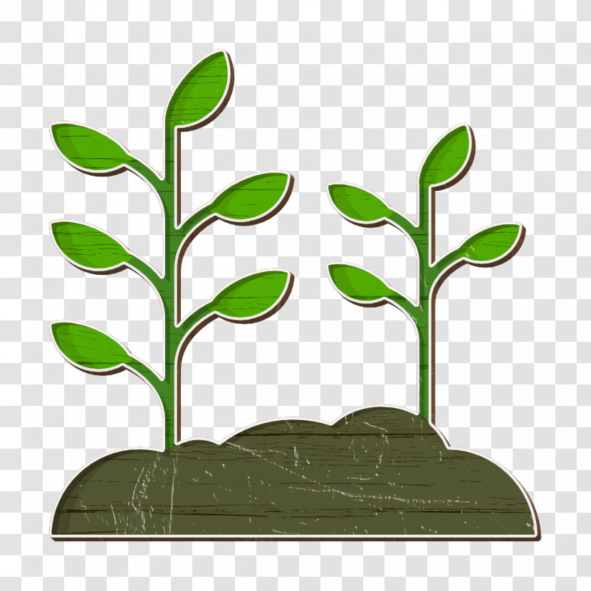 Plant Icon Spring Nature Icon Transparent PNG