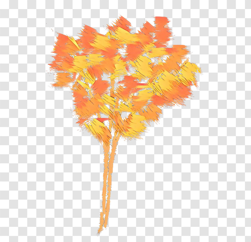 Orange Transparent PNG