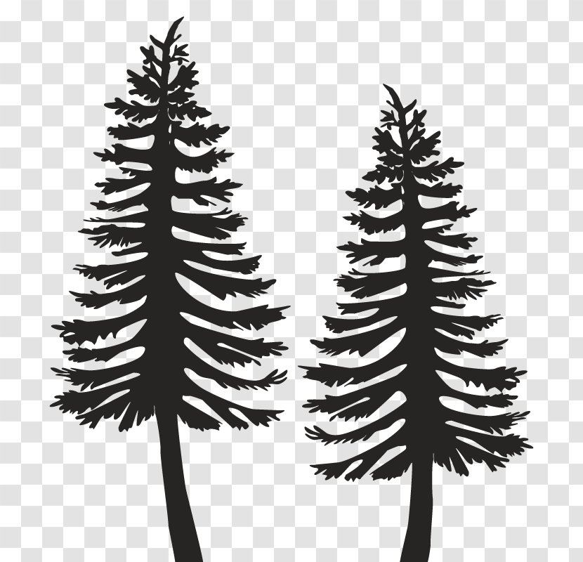 Spruce Pine Fir Christmas Tree Ornament - Family Transparent PNG