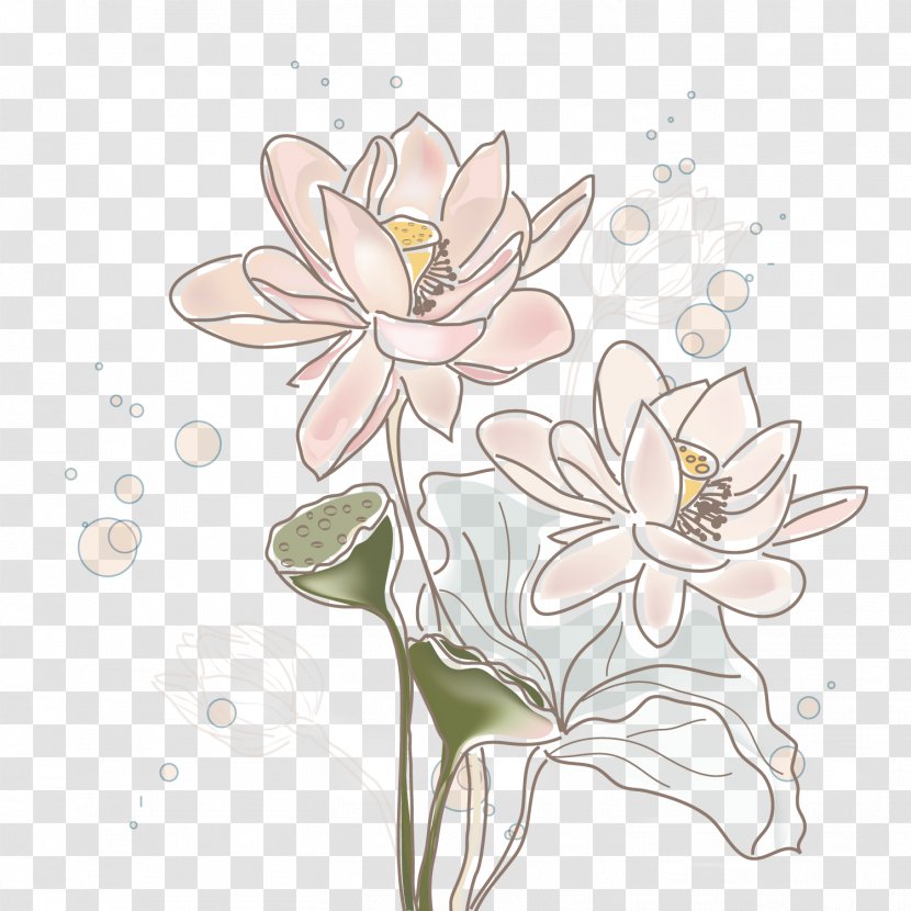 Floral Design Nelumbo Nucifera - Petal - Hand-painted Lotus Transparent PNG